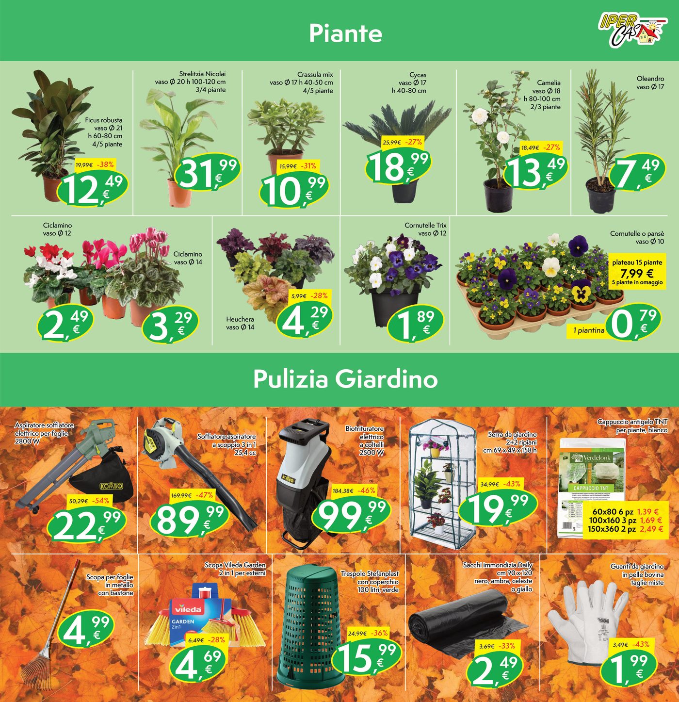 Pagina 5: Piante e Pulizia Giardino